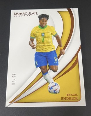 [TC06720] 2024-25 Panini Immaculate Soccer Argentina ALEJANDRO GARNACHO RELIC CARD 1/10